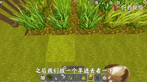 迷你世界草坪怎么弄[图1]