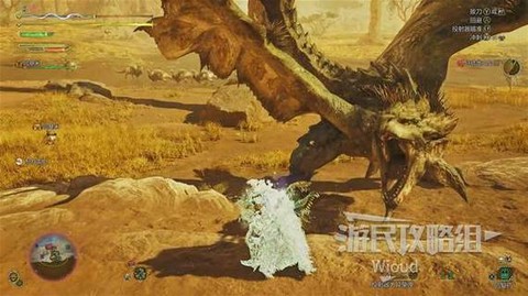 怪物猎人雌火龙怎么打[图2]