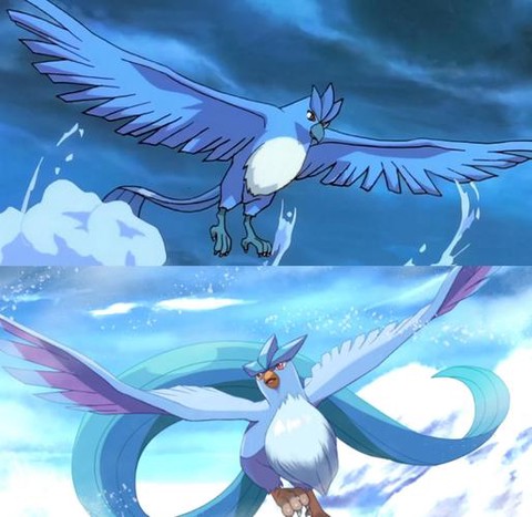 口袋妖怪急冻鸟怎么抓[图2]