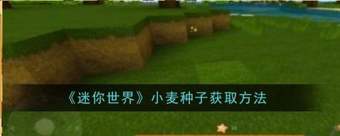 迷你世界怎么刷小麦[图1]